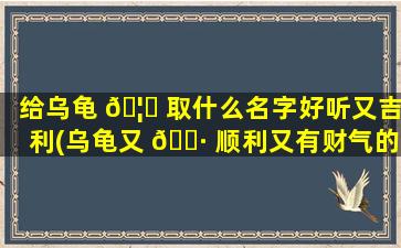 给乌龟 🦍 取什么名字好听又吉利(乌龟又 🌷 顺利又有财气的名字)